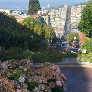 Meet your Posher, Dalia